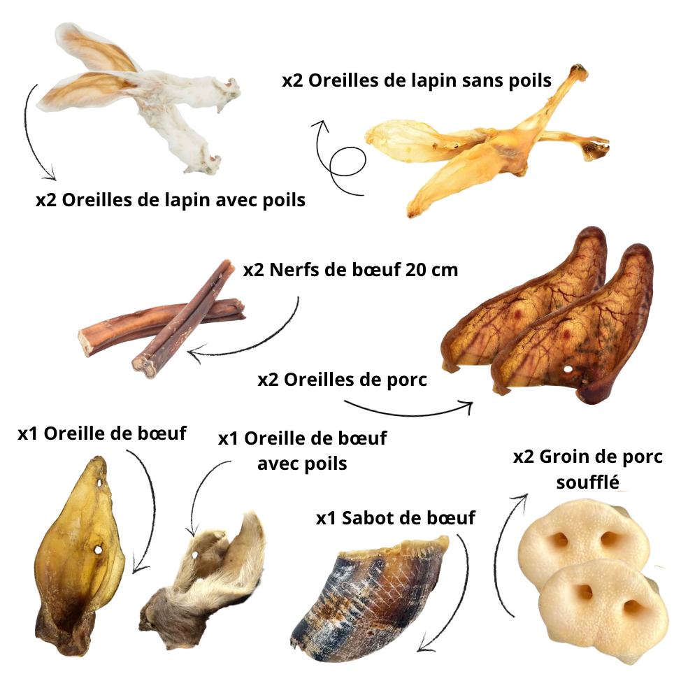 Box Mix de Friandises Séchées - Mastication Appétente