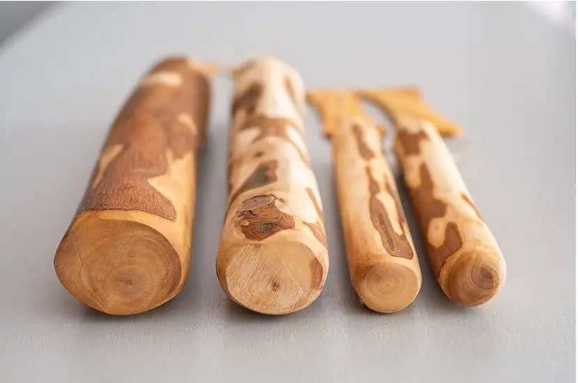 Bois d'olivier pour chien