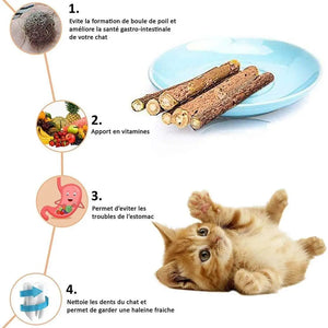 Matatabi pour chat
