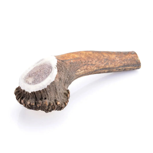 Bois de cerf entier pour chien