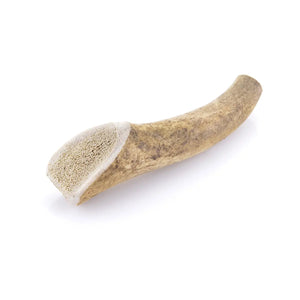 Bois de cerf entier pour chien