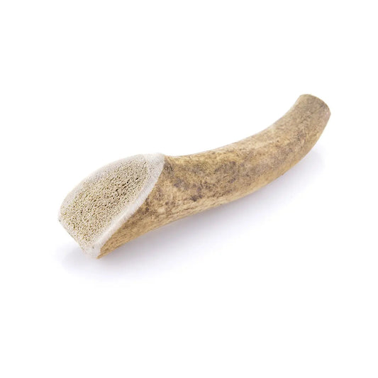 Bois de cerf entier pour chien