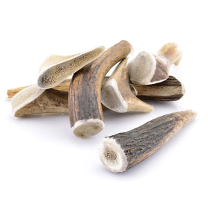 Bois de cerf entier pour chien
