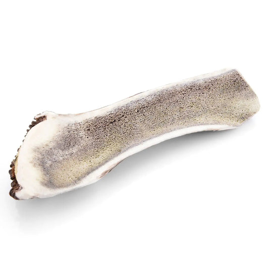 Bois de cerf tranché pour chien