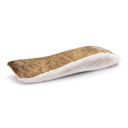 Bois de daim pour chien