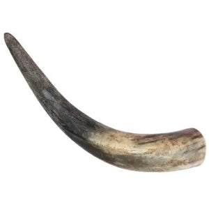 Corne de vache pour chien