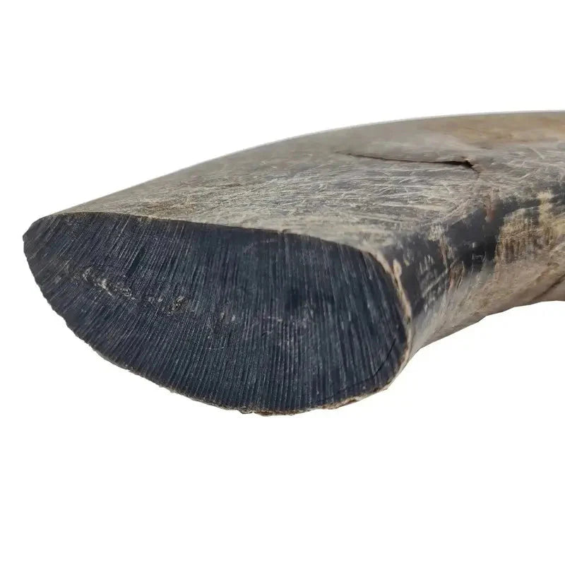 Corne de buffle pour chien