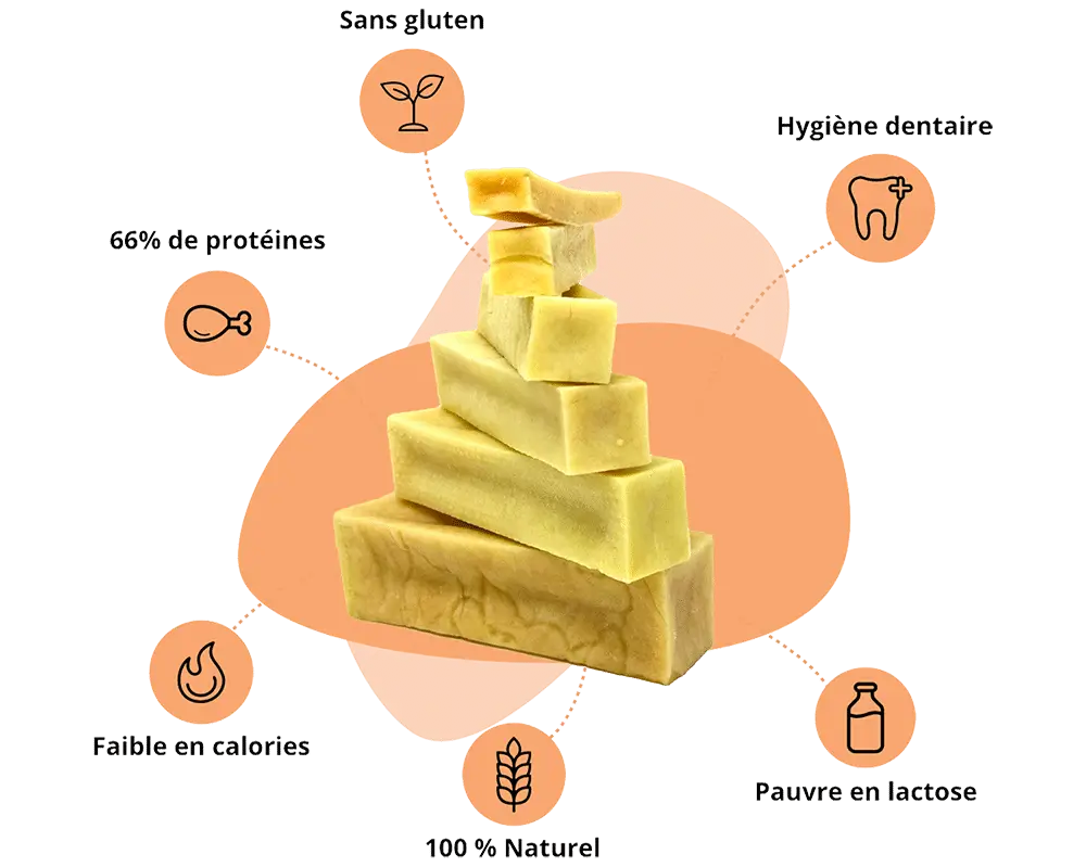 Fromage Nature - L'original pour chien