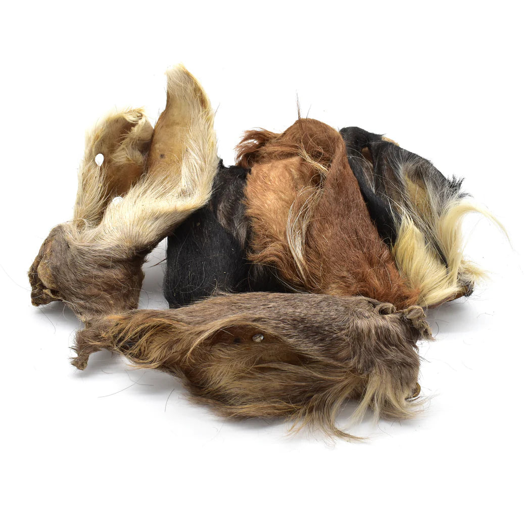 Oreille de bœuf pour chien