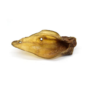 Oreille de bœuf pour chien