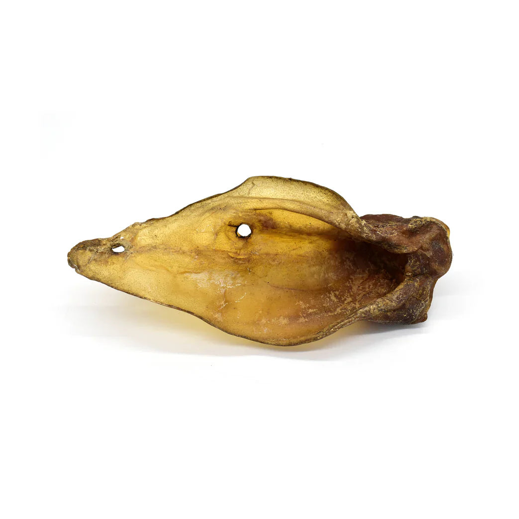 Oreille de bœuf pour chien
