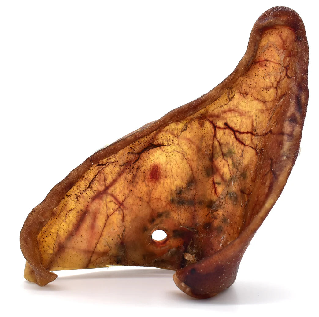 Oreille de porc pour chien