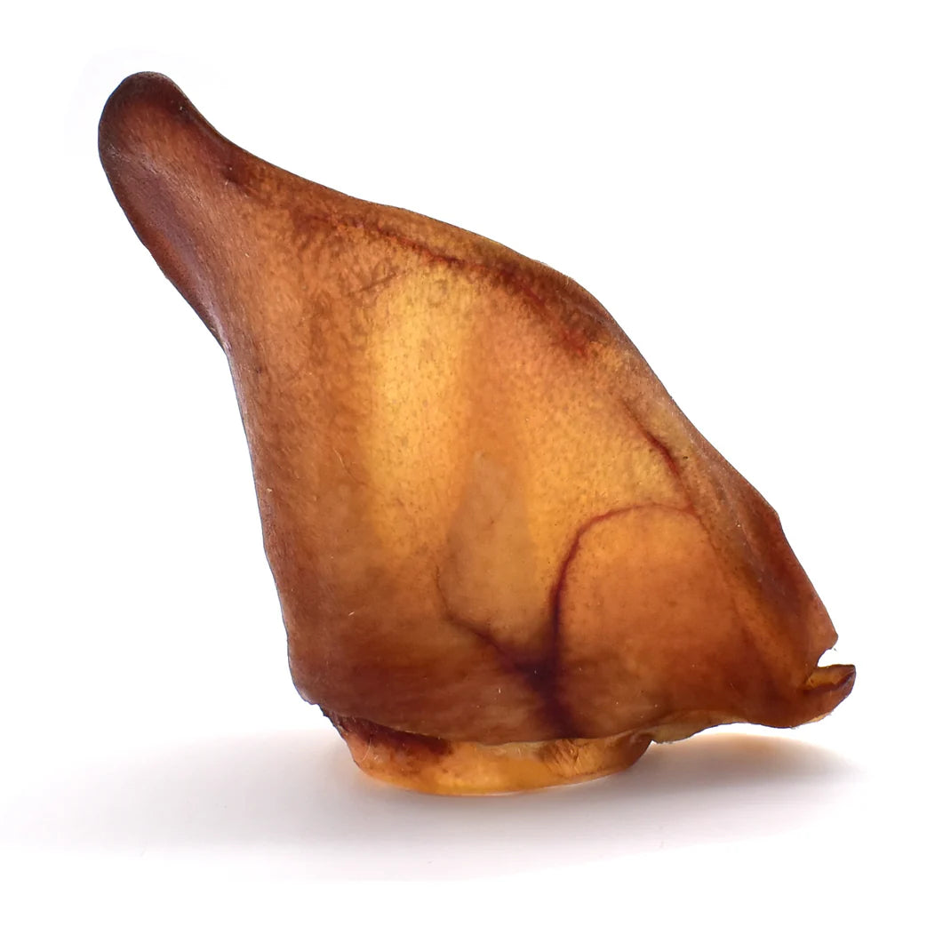 Oreille de porc pour chien