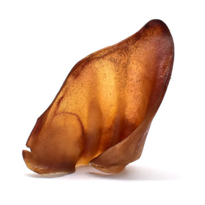 Oreille de porc pour chien