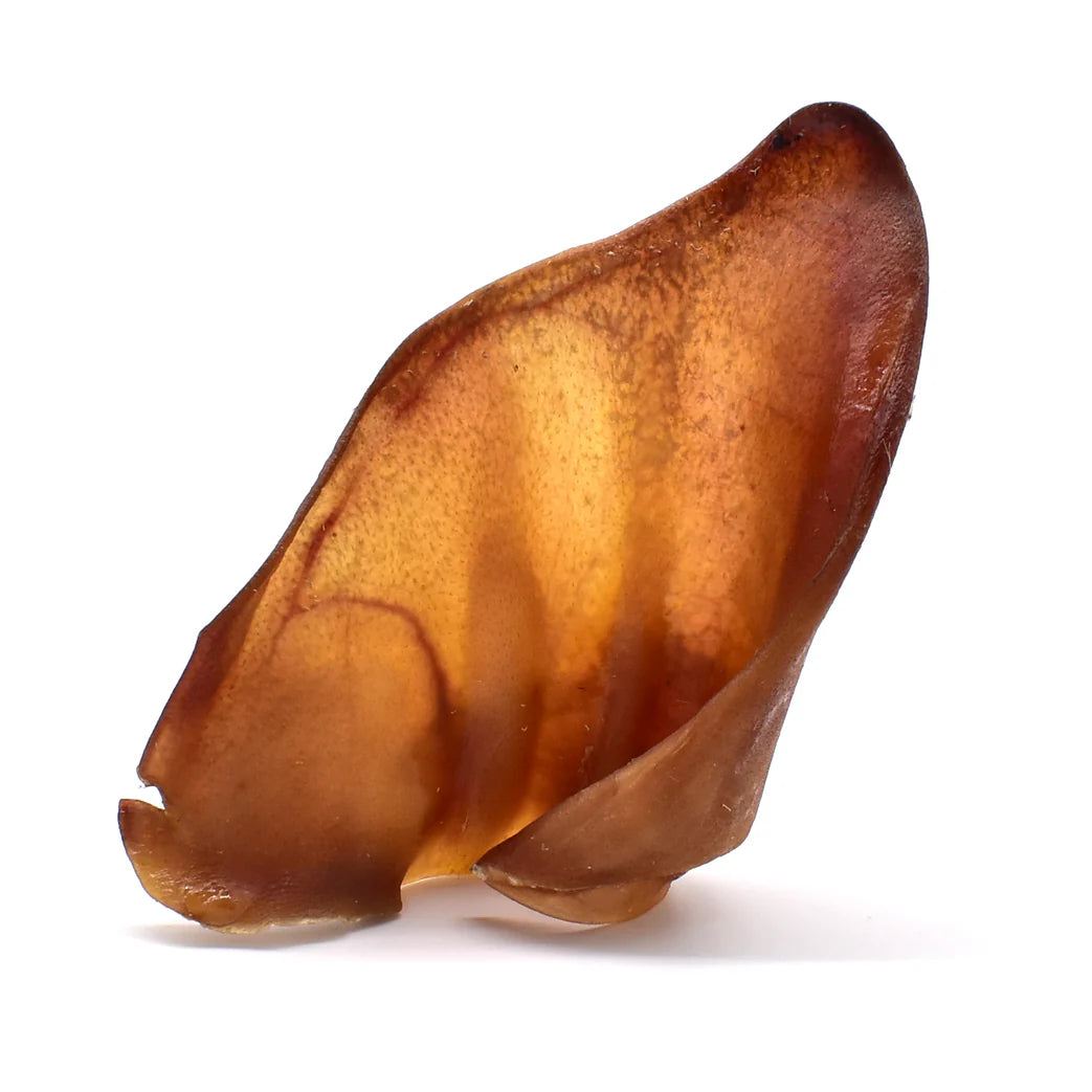 Oreille de porc pour chien