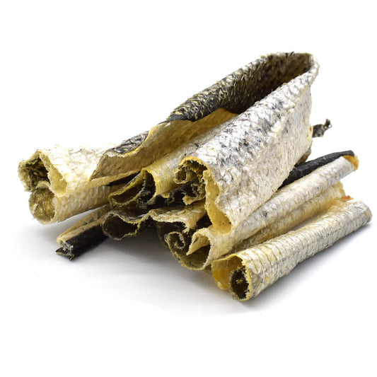 Peau de saumon pour chien