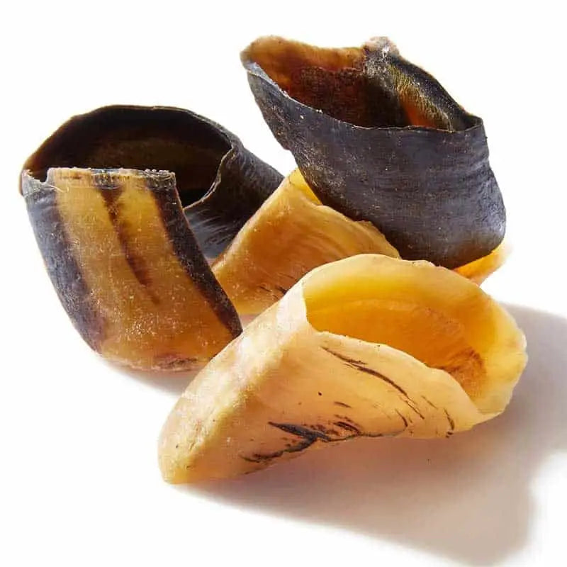 Sabot de bœuf pour chien