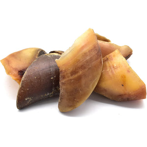 Sabot de bœuf pour chien