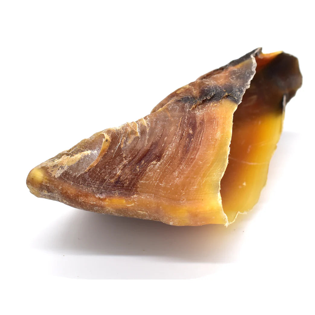 Sabot de veau chien