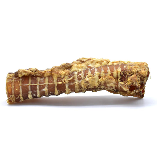 Trachée de boeuf 30cm pour chien